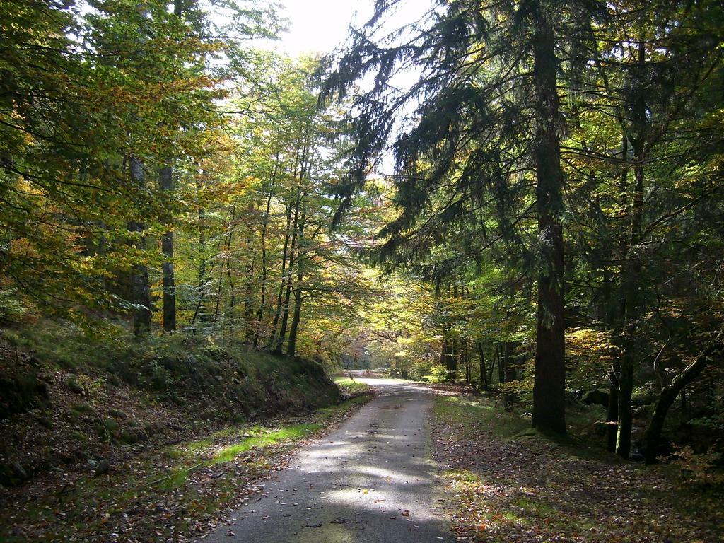 杜蒙托木屋旅馆 Dun-les-Places 客房 照片